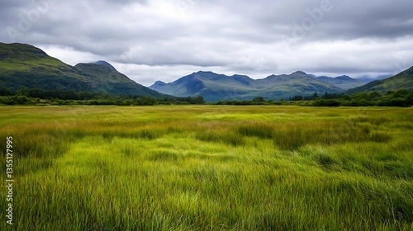 Fototapeta Majestic Highland Landscape with Lush Green Fields and Dramatic Mountains : Generative AI