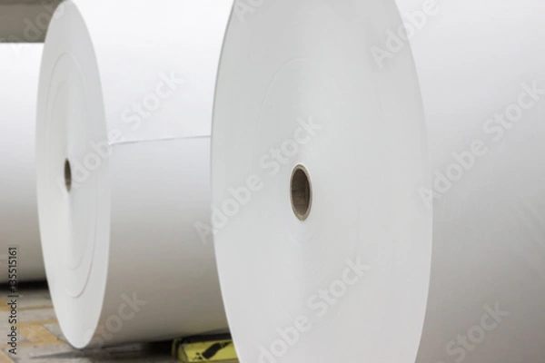 Obraz Giant paper rolls