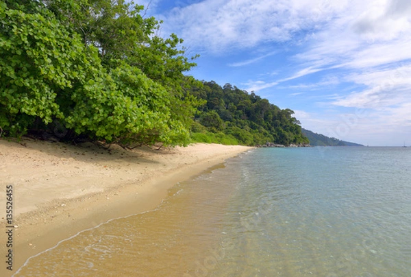 Fototapeta Landscape with deserted sandy beach