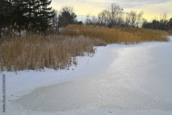 Fototapeta Reflection on the ice on the lake of a public park in winter.