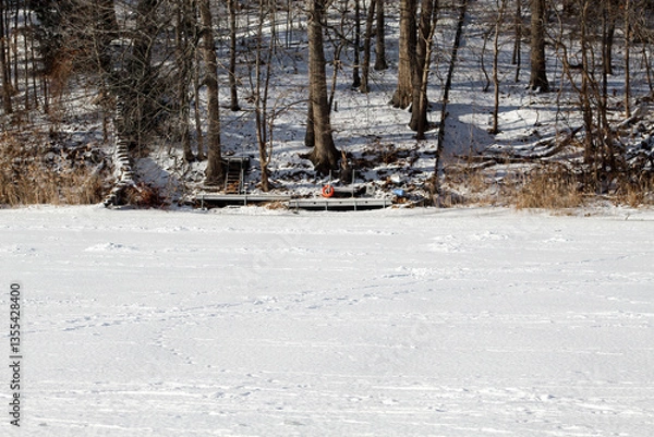 Fototapeta Winter cottage country scene looking toward dock over frozen lake in winter forest scene