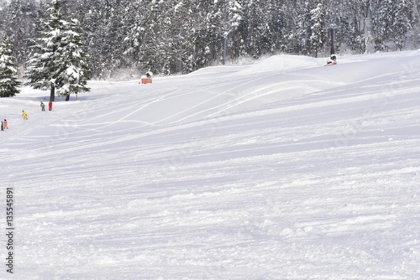Fototapeta 木島平スキー場