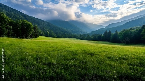 Fototapeta Expansive View of a Lush Green Valley Surrounded by Majestic Mountains Under a Cloudy Sky : Generative AI