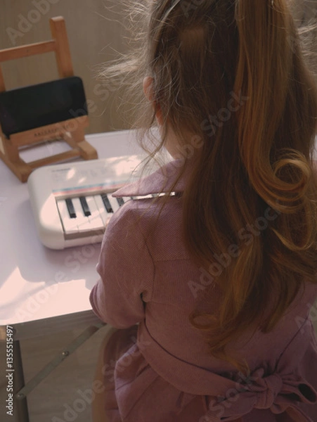 Obraz Girl in pink dress playing keyboard during online session back view.