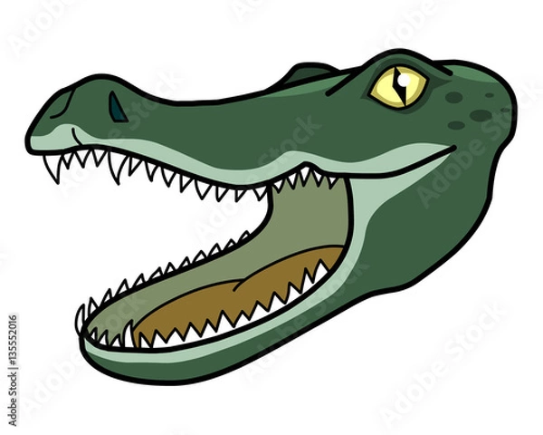 Fototapeta Alligator