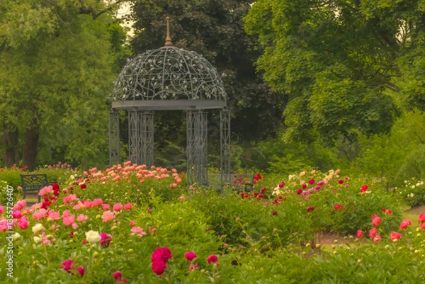 Obraz  Botanical Garden