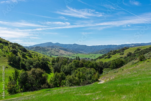 Fototapeta Rolling green hills with trees frame a winding dirt path leading into a valley, surrounded by distant mountains under a vibrant blue sky in Santa Teresa County Park
