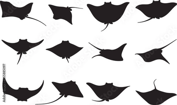 Obraz Stingray Silhouettes