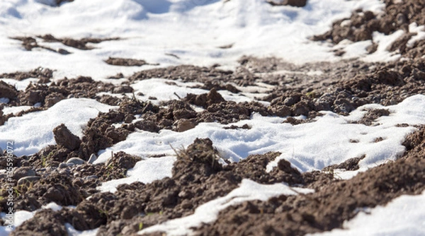 Obraz snow on the ground