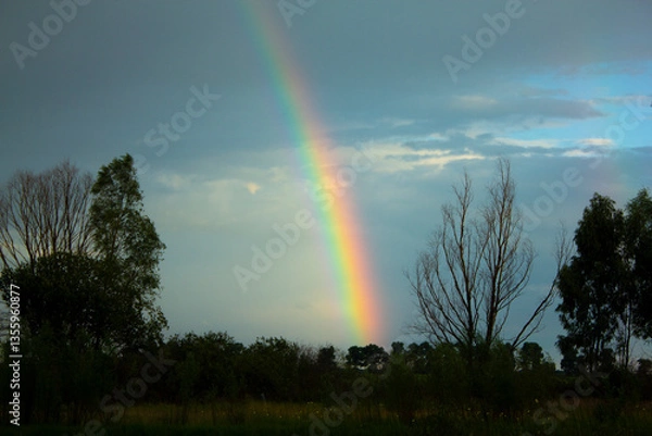 Fototapeta The rainbow is a beautiful natural phenomenon.