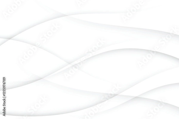 Obraz gray and white abstract background modern vector illustration
