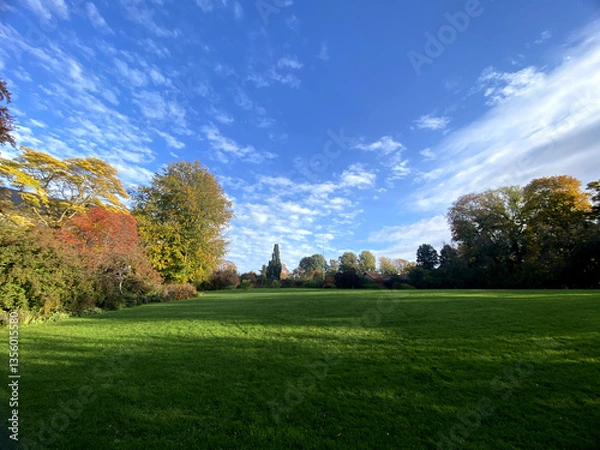 Fototapeta Beautiful forest with blue sky in autumn.