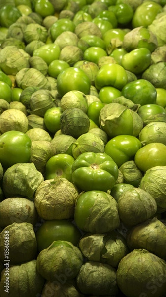 Obraz Green tomatoes