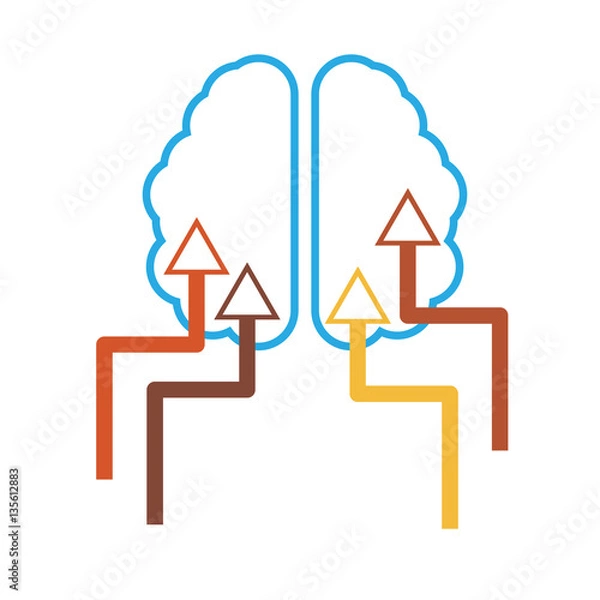 Obraz info graphics with the brain and arrows