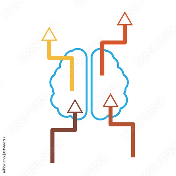 Obraz info graphics with the brain and arrows