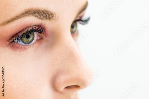 Fototapeta Close-up of eyebrows and eyes on a light background