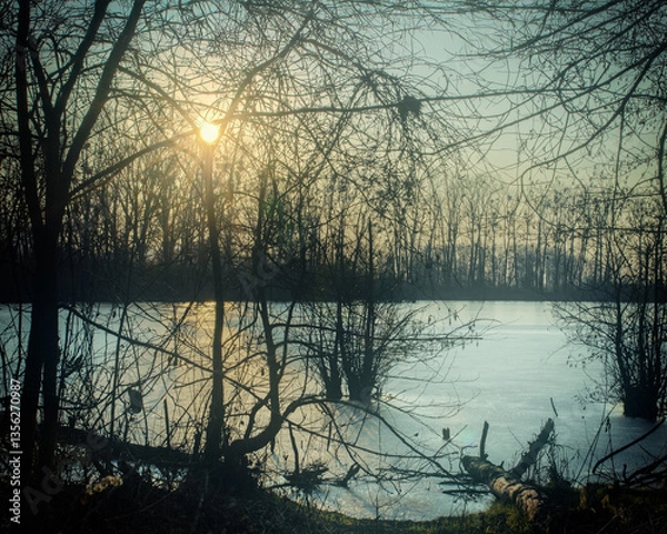 Obraz sunset on the lake