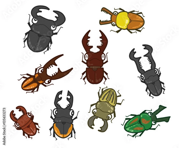 Obraz 色々なクワガタムシ