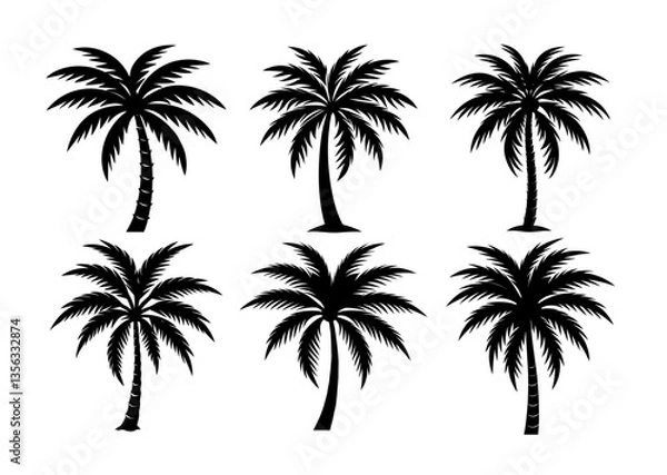 Fototapeta Set of six black silhouette palm trees, tropical nature vector illustration, isolated on white background.