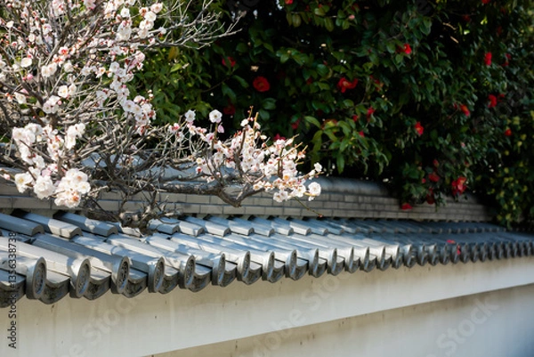 Obraz In spring, there are plum blossoms on the eaves.