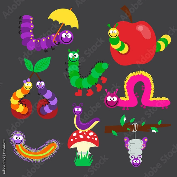 Fototapeta Cartoon caterpillar insect vector illustration.