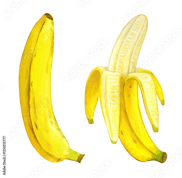 Fototapeta バナナのイラスト　