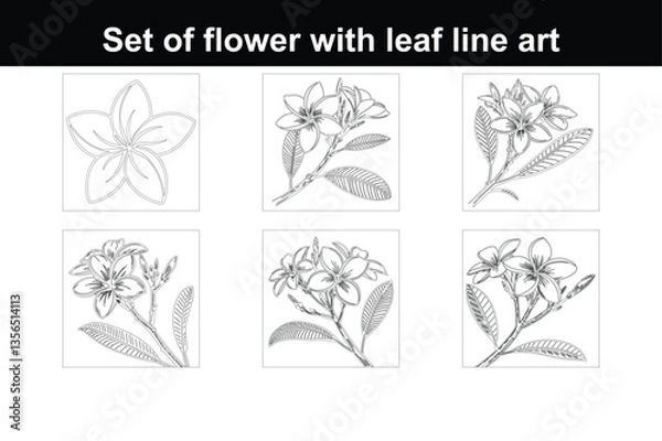Fototapeta Black Bold Outline Drawing of a Tropical Plumeria Flower in Continuous Line Art Style on a White Background