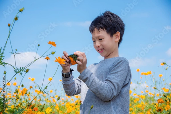 Obraz Young asian boy taking photo of flower by smart phone
