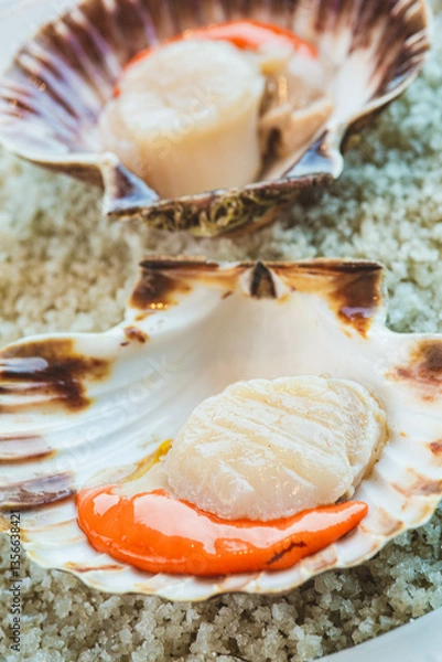 Obraz coquille st jacques