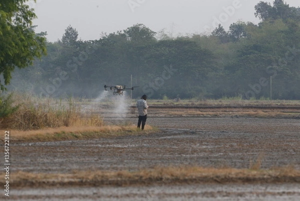 Fototapeta A drone controller spray pesticides over rice fields in Nakhon Sawan Province, north of Bangkok on March 22, 2025.