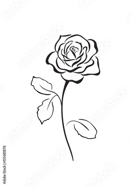 Obraz Rose flower vector icon