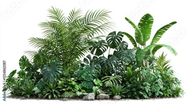 Fototapeta Vibrant Tropical Plants Collection