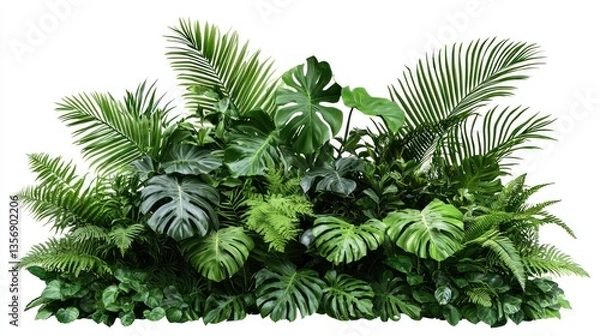 Fototapeta Vibrant Tropical Plants Bush Collection