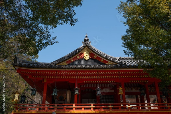 Fototapeta 日本、京都、清水八幡宮、神社、銅燈籠、獻燈、青空、建築、木