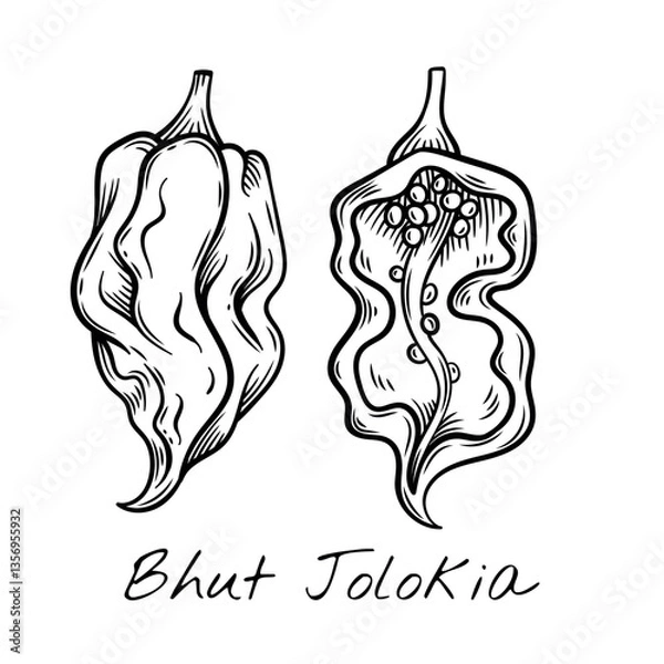 Fototapeta Hand-drawn black and white vector illustration of Bhut Jolokia peppers, showcasing their unique shape and texture. Ideal for food packaging, restaurant menus, and spicy ingredient branding.