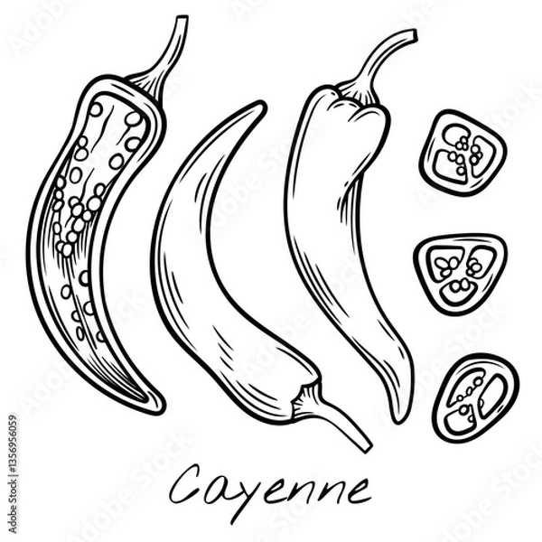 Fototapeta Hand-drawn black and white vector illustration of whole and sliced cayenne peppers. Perfect for food packaging, restaurant menus, and spicy ingredient branding.