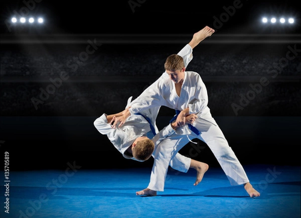 Fototapeta Chłopcy zawodnicy sztuk walki