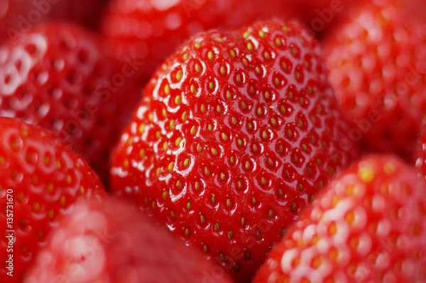 Obraz Ripe strawberry photographed close up