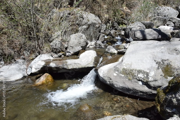 Obraz Vaca en una granja