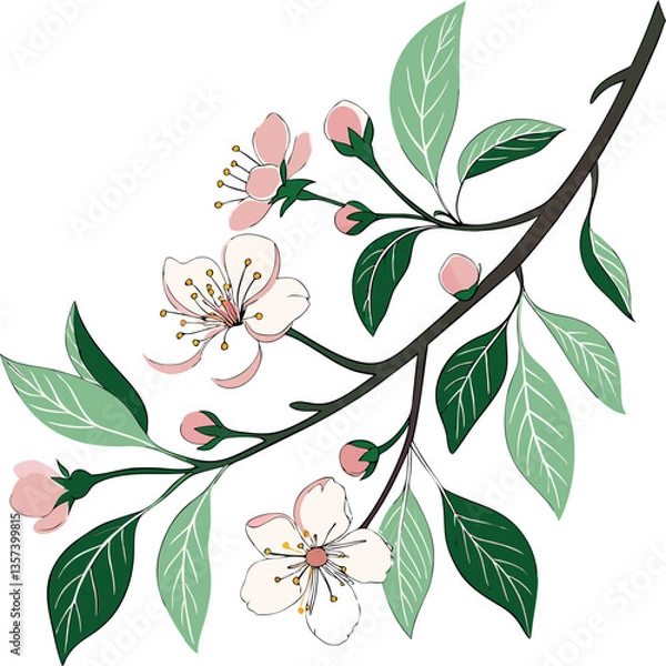 Obraz tree branch blooming without background