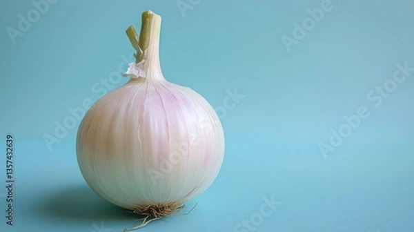 Fototapeta Fresh White Onion Bulb Against a Soft Blue Backdrop Clean Minimalist Composition with Culinary Ingredient and Natural Light