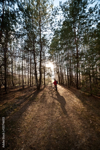 Fototapeta Man is cycling on forest road in evening with sunlight