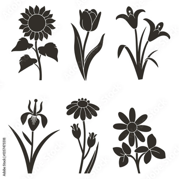 Fototapeta Collection of flower silhouettes including sunflower, tulip, lily, iris, daisy and other floral elements