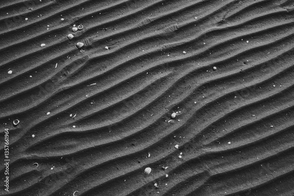 Fototapeta Spiaggia - Pattern Bianco e Nero