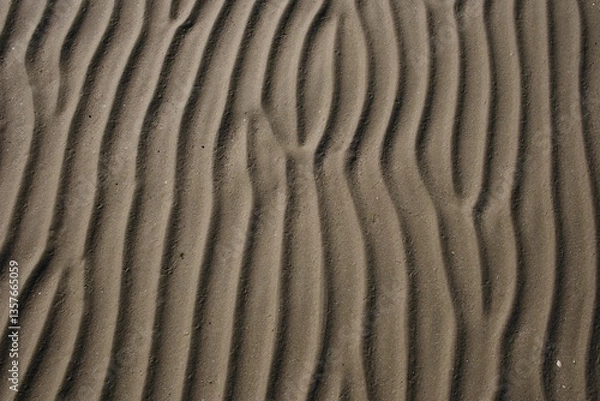 Obraz Texture - Sabbia