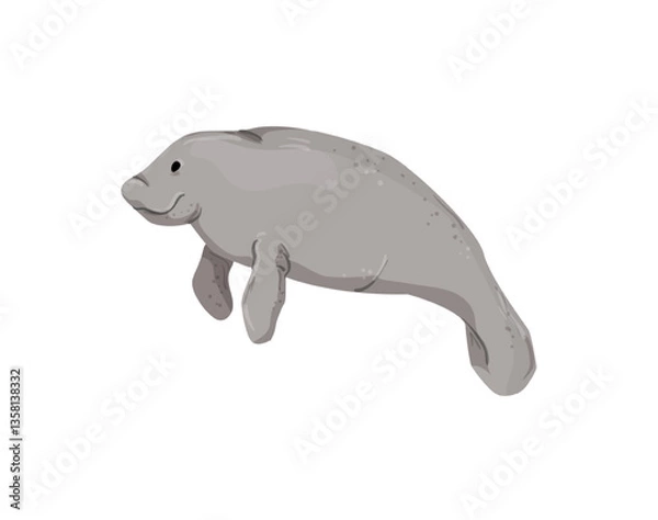 Fototapeta Vector illustration of a gray manatee.