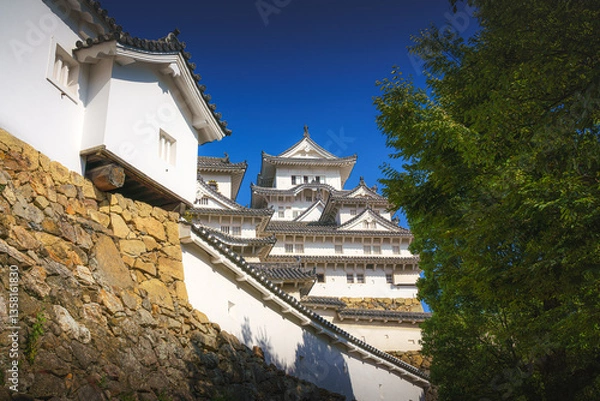 Fototapeta Himeji, Japan - Sep 24 2024, panoramic view of Himeji Castle, White Heron Castle, from behind the roof of the annex and a tree, in the daytime, without people, Himeji, Japan
