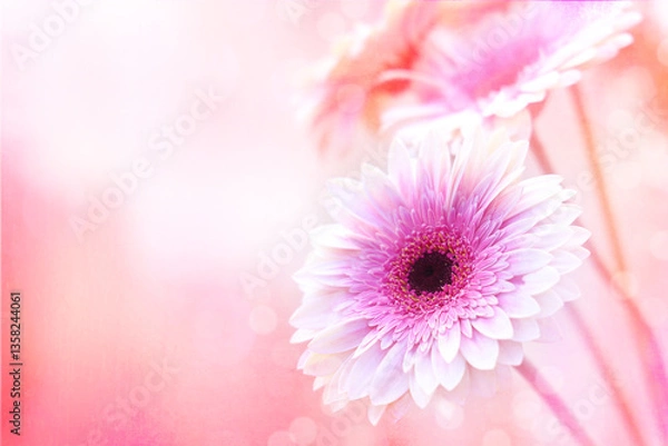 Obraz Horizontal photography of a pink and white bouquet of flowers in a soft blurred background.
