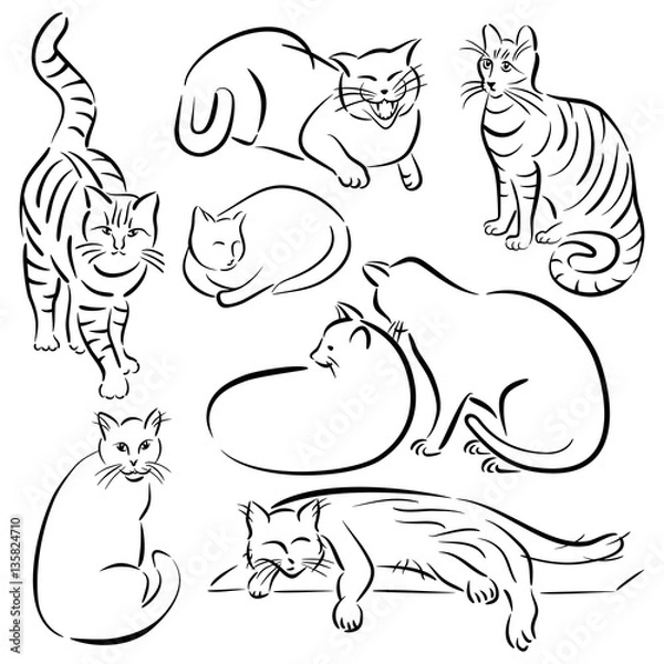 Obraz Cat Line Designs_Set 1