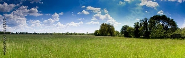 Obraz prairie camarguaise